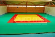 Спортивная школа (г. Донецк)