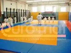 ДЮСШ (Московская область)