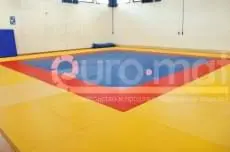 ДЮСШ (Казахстан)