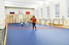 Мобильная Арена